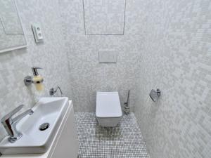 Pronájem bytu 2+kk, Brno, Bohuslava Martinů, 102 m2