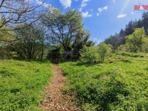 Prodej pozemku pro bydlení, Rejštejn, 4185 m2