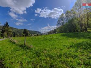 Prodej pozemku pro bydlení, Rejštejn, 4185 m2