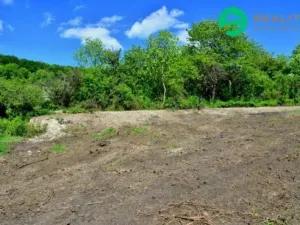 Prodej zahrady, Velemín - Oparno, 1600 m2