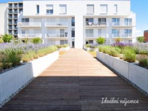 Pronájem bytu 2+kk, Brno - Bohunice, Studentská, 53 m2