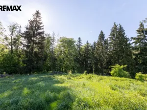 Prodej pozemku pro bydlení, Karlovy Vary, 3902 m2