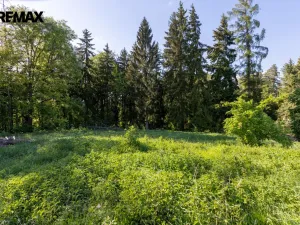 Prodej pozemku pro bydlení, Karlovy Vary, 3902 m2