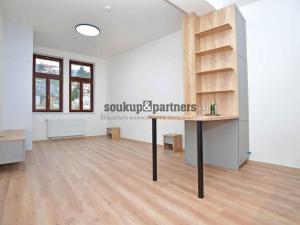 Pronájem bytu 1+kk, Praha - Podolí, Sinkulova, 39 m2