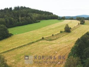 Prodej pozemku pro bydlení, Benešov nad Černou - Kuří, 7089 m2