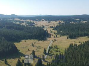 Prodej pozemku pro bydlení, Benešov nad Černou - Kuří, 7089 m2