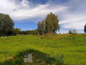 Prodej pozemku pro bydlení, Benešov nad Černou - Kuří, 7089 m2