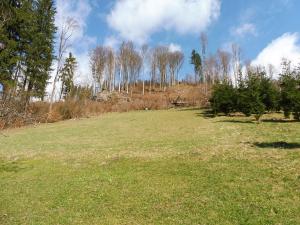 Prodej rodinného domu, Jablonec nad Jizerou, 200 m2