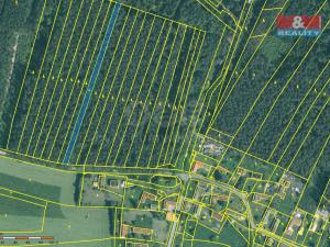 Prodej lesa, Dražíč, 2085 m2