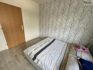 Prodej bytu 3+1, Teplice - Prosetice, Pod školou, 80 m2