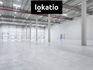 Pronájem skladu, Praha - Hostivař, K pérovně, 4760 m2