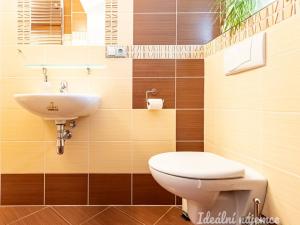 Pronájem bytu 6+kk a větší, Čelákovice - Sedlčánky, Matěje Koštíře, 310 m2
