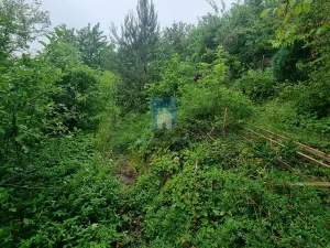 Prodej zahrady, Zdiby, Skopec, 527 m2