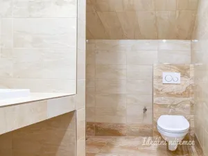 Pronájem bytu 1+kk, Praha - Vinohrady, Soběslavská, 23 m2