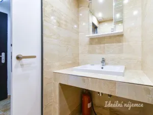 Pronájem bytu 1+kk, Praha - Vinohrady, Soběslavská, 23 m2