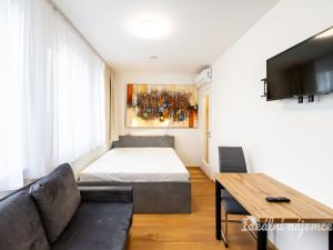 Pronájem bytu 1+kk, Praha - Vinohrady, Perucká, 23 m2