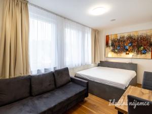 Pronájem bytu 1+kk, Praha - Vinohrady, Perucká, 23 m2