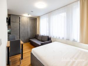 Pronájem bytu 1+kk, Praha - Vinohrady, Perucká, 23 m2