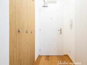 Pronájem bytu 1+kk, Praha - Vinohrady, Perucká, 23 m2