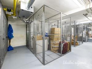 Pronájem bytu 1+kk, Praha - Vinohrady, Perucká, 23 m2
