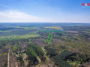 Prodej lesa, Třtěnice, 12375 m2