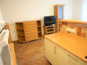 Pronájem bytu 2+kk, Plzeň, Ruská, 36 m2