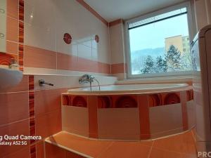 Prodej bytu 4+1, Ústí nad Labem, Žežická, 83 m2