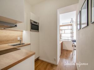 Pronájem bytu 2+kk, Praha - Žižkov, Prokopova, 40 m2