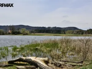 Prodej zahrady, Křinice, 1207 m2