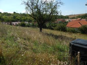 Prodej pozemku pro bydlení, Bošovice, 1000 m2