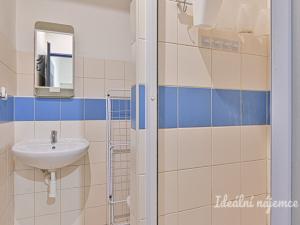 Pronájem bytu 1+kk, Brno - Zábrdovice, Cejl, 26 m2
