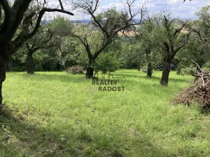 Prodej sadu/vinice, Koryčany, 4253 m2