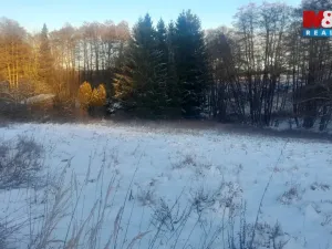 Prodej trvalého travního porostu, Oselce - Kotouň, 19732 m2