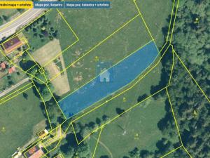 Prodej trvalého travního porostu, Horní Vltavice, 2704 m2