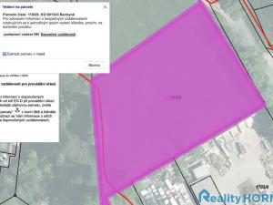 Prodej pozemku pro bydlení, Bechyně, Písecká, 3774 m2