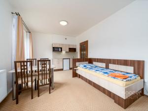 Prodej bytu 2+kk, Rokytnice nad Jizerou - Dolní Rokytnice, 40 m2