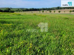 Prodej pozemku pro bydlení, Písek, Robinson, 7310 m2