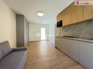 Prodej bytu 1+kk, Merklín - Pstruží, 28 m2