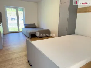 Prodej bytu 1+kk, Merklín - Pstruží, 28 m2