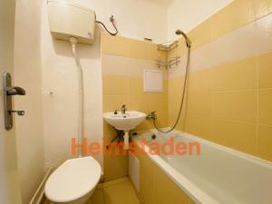 Pronájem bytu 1+1, Hlučín, Severní, 28 m2