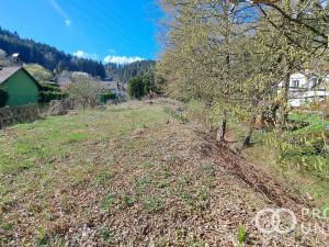 Prodej zahrady, Vsetín - Rokytnice, Amerika, 640 m2