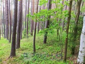 Prodej rodinného domu, Velešín, U Přehrady, 153 m2