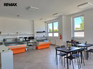 Pronájem komerční nemovitosti, Moravská Třebová - Předměstí, Komenského, 82 m2