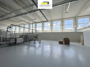 Prodej výrobních prostor, Chomutov, Beethovenova, 15052 m2