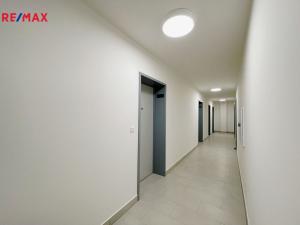 Prodej bytu 1+kk, České Budějovice - České Budějovice 6, Chelčického, 39 m2