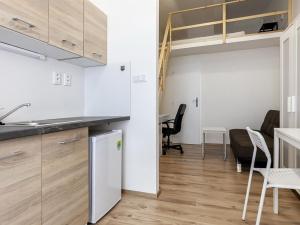 Pronájem bytu 1+kk, Brno - Staré Brno, Hybešova, 21 m2