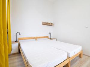 Pronájem bytu 1+kk, Brno - Staré Brno, Václavská, 36 m2