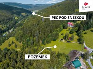 Prodej trvalého travního porostu, Pec pod Sněžkou, 7113 m2