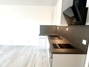 Pronájem bytu 1+kk, Zbůch, K Újezdu, 29 m2