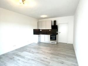 Pronájem bytu 1+kk, Zbůch, K Újezdu, 29 m2